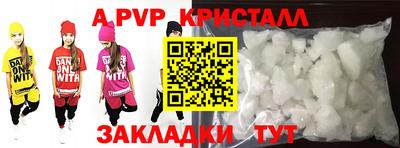 спиды Будённовск