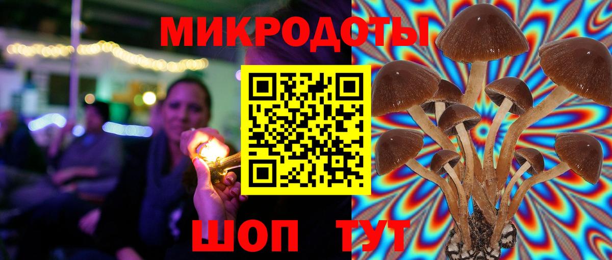 Псилоцибиновые грибы Psilocybe Морозовск